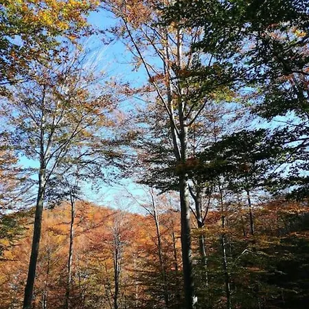 Agriturismo Il Forestiero