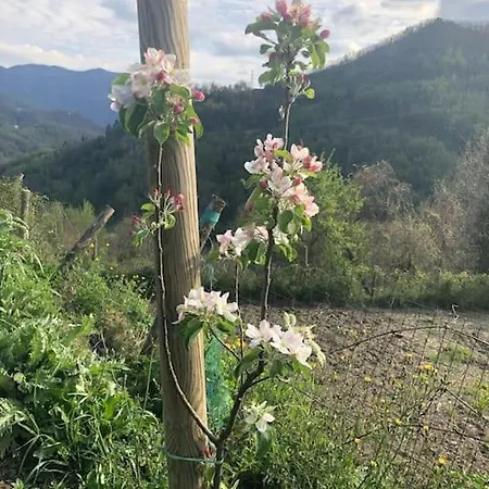 Lejlighed Agriturismo Il Forestiero Borzonasca
