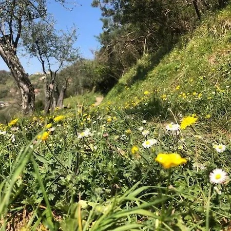 Agriturismo Il Forestiero * Borzonasca